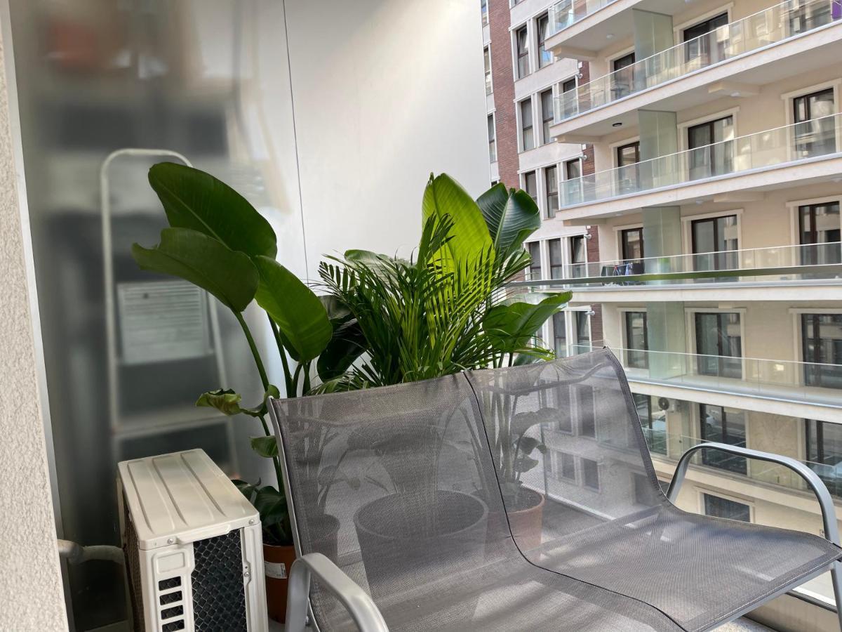 Moghioros Park Residence Apartment 부쿠레슈티 외부 사진